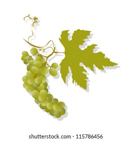 Grapes and leaf graphic, isolated and grouped objects over white background. Gradient mesh.
