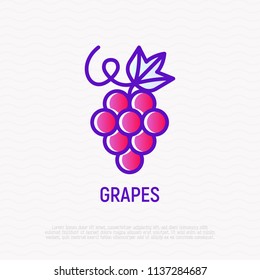 Grapes with leaf thin line icon. Modern vector illustration for wine logo.