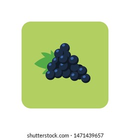 Grapes with leaf vector icon, flat style illustration. Grape fruit. 