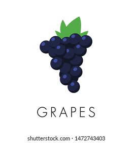 Grapes with leaf vector icon, flat style illustration. Grape fruit. 