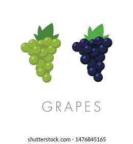 Grapes with leaf vector icon, flat style illustration. Grape fruit. 