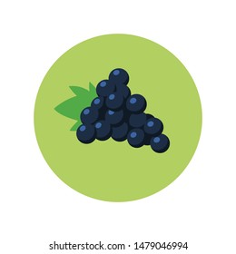Grapes with leaf vector icon, flat style illustration. Grape fruit. 
