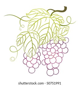 grapes with leaves