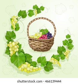 Grapes with leaves background