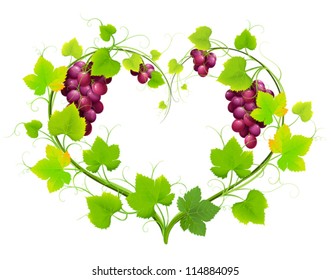 Grapes with leaves in the form of heart. Vector