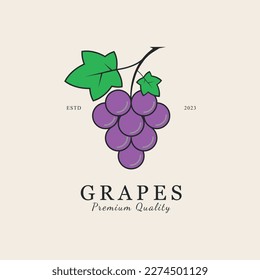 grapes line art design vector logo illustration