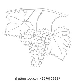Diseño de Vector de arte de línea de uvas