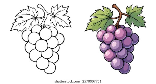 Grapes Line Art Vector Illustration Black and White with Coloring Sample. Bold and Easy Food, Sweets, Drinks, Dessert, and Snacks Coloring Pages for Adults and Kids.