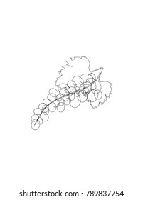 Grapes line drawing