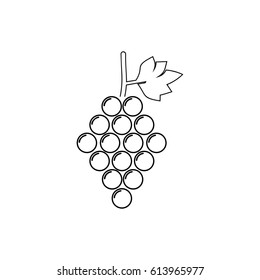 Grapes line icon vector