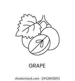 Icono de línea de uvas en vector, ilustración de berry