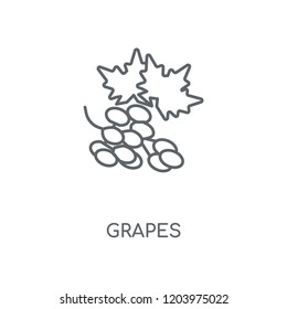 Grapes linear icon. Grapes concept stroke symbol design. Thin graphic elements vector illustration, outline pattern on a white background, eps 10.
