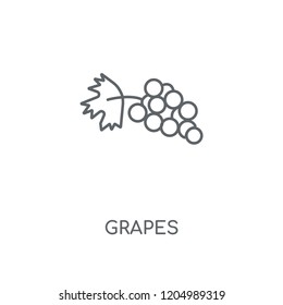 Grapes linear icon. Grapes concept stroke symbol design. Thin graphic elements vector illustration, outline pattern on a white background, eps 10.