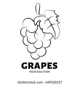 Grapes logo. Brand's logo in the form of grapes