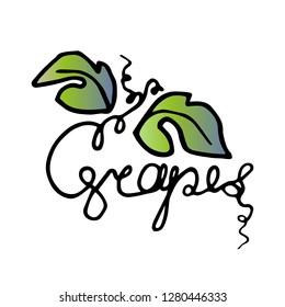 Grapes logo. Hand drawn, graphics sketch, stylized word, handwritten.