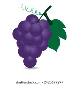 Grapes logo icon. Bunch of grapes with leaves. Silhouette grapes vector illustration. Fruit vector