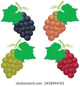 Grapes logo icon. Bunch of grapes silhouette, vector.  Grapes vector illustration. 3D Grapes vector, vine leaves illustration. Fruit vector illustration, nature,