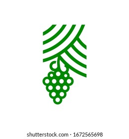 grapes logo line art style
