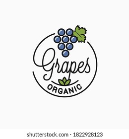Grapes logo. Round linear logo of organic grapes on white background