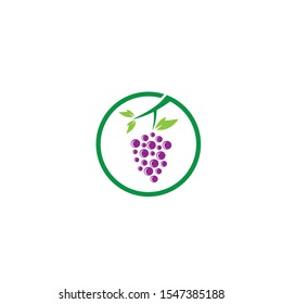 Grapes logo template vector icon illustration design