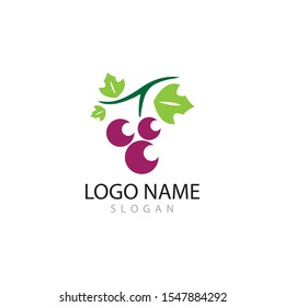 Grapes logo template vector icon illustration design