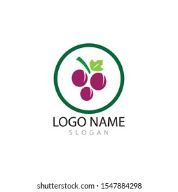 Grapes logo template vector icon illustration design