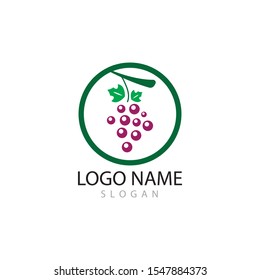 Grapes logo template vector icon illustration design