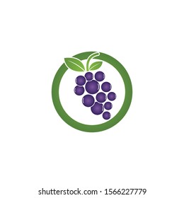 Grapes logo template vector icon illustration design
