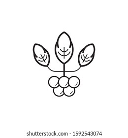 Grapes logo template vector icon design