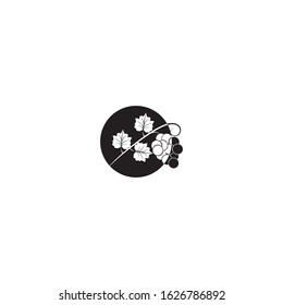 Grapes logo template vector icon illustration design