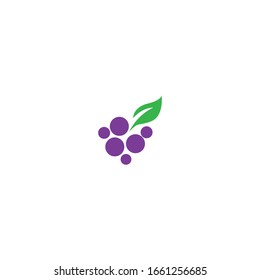 Grapes logo template vector icon illustration design