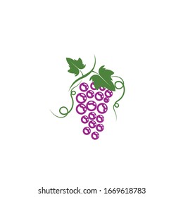 Grapes logo template vector icon illustration design