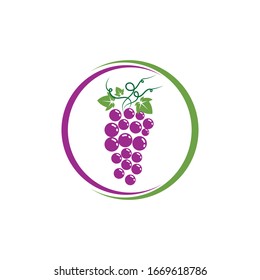 Plantilla de logotipo de uvas diseño de ilustración de icono vectorial