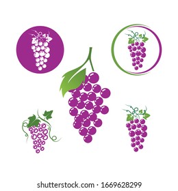 Grapes logo template vector icon illustration design