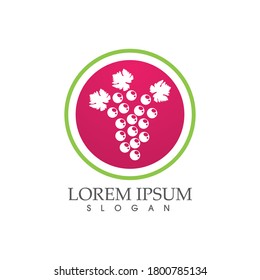Grapes logo template vector icon illustration design