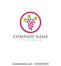 940 Concord grapes Stock Illustrations, Images & Vectors | Shutterstock