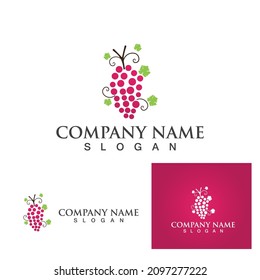 Grapes logo template vector icon illustration design