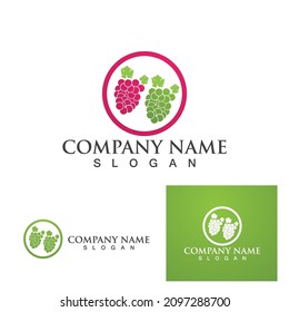Grapes logo template vector icon illustration design