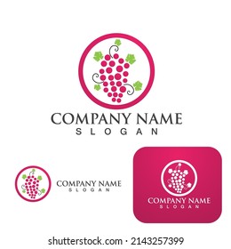 Plantilla de logotipo de uvas diseño de ilustraciones de iconos vectoriales