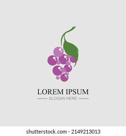 Plantilla de logotipo de uvas diseño de ilustraciones de iconos vectoriales