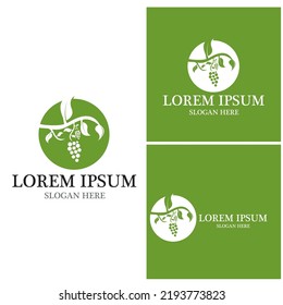 Plantilla de logotipo de uvas diseño de ilustraciones de iconos vectoriales