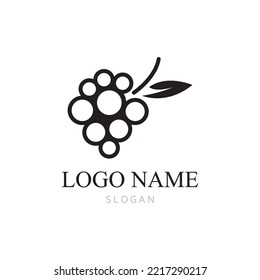 Grapes logo template vector icon illustration design