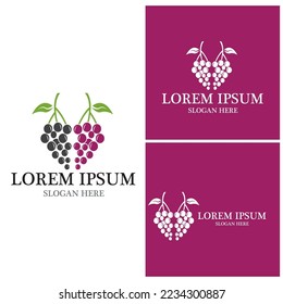 Grapes logo template vector icon illustration design