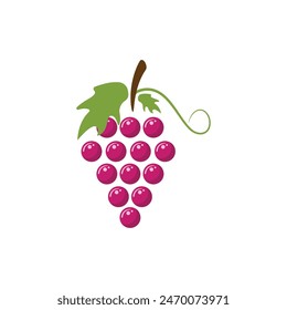 Grapes logo template vector icon illustration design