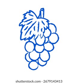 Uvas, fruta mediterránea. Ilustración vectorial.