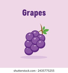 Grapes Modern Vector Icon Illustration