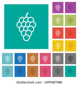 Grapes multi colored flat icons on plain square backgrounds. Included white and darker icon variations for hover or active effects.