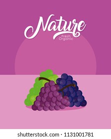 Grapes nature fruit
