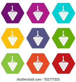 Grapes on the branch icon set many color hexahedron isolated on white vector illustration