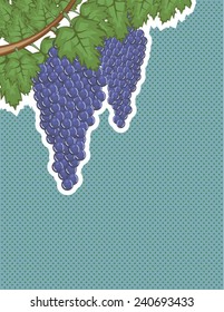 Grapes on a vine Vector Background pop art